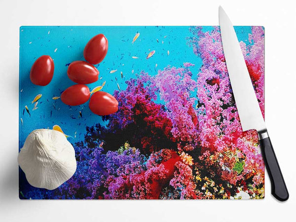 Magical Coral Ocean Glass Chopping Board