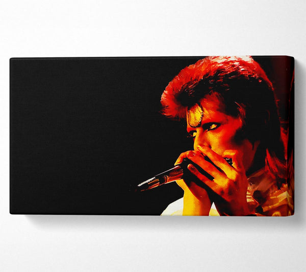 David Bowie Ziggy Pop