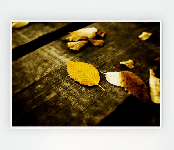 Autumn Leaves On The Deck Print Poster Wall Art