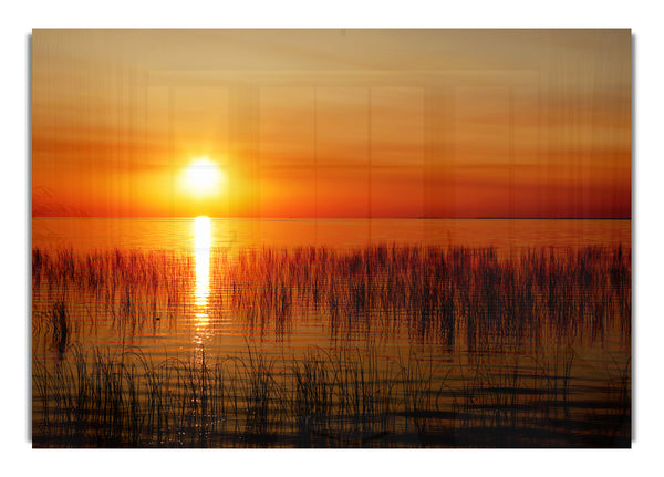 Sunset Over The Oceans Reeds