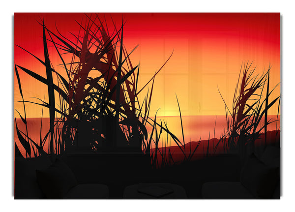 The Sunset Reeds