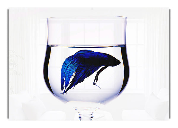 Wineglass Fish