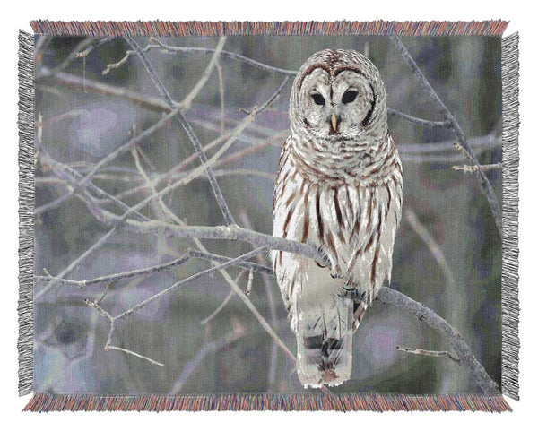 Winter Owl Woven Blanket