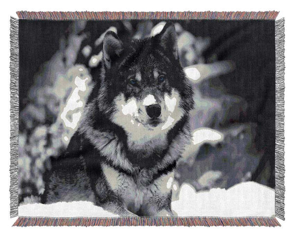 Wolf In Winter Woven Blanket