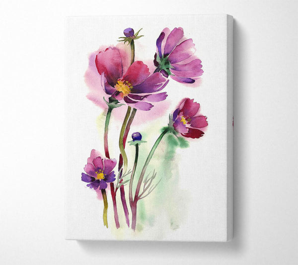 Picture of Wild Flower Beauty Canvas Print Wall Art