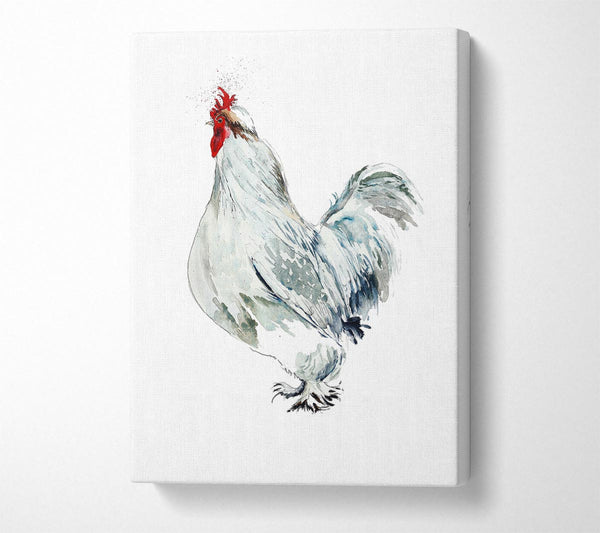 Picture of White Hen Canvas Print Wall Art