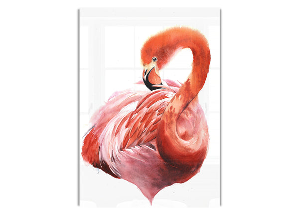 Flamingo Groom