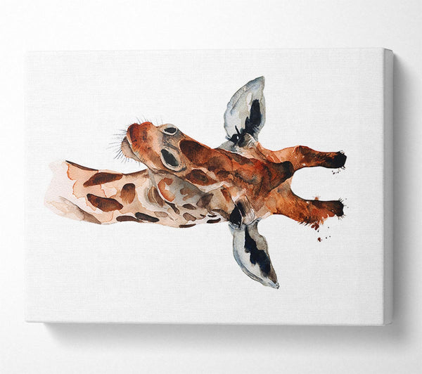 Picture of Curious Giraffe Canvas Print Wall Art