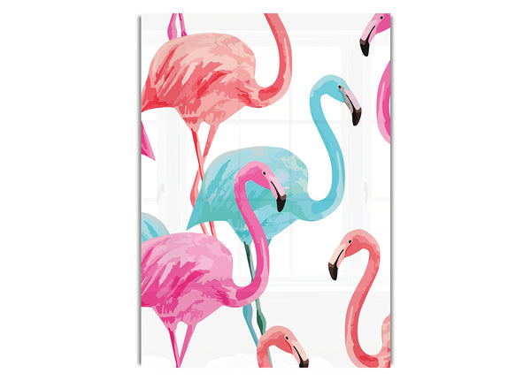 Flamingo Colours