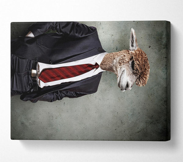 Picture of Business Llama Canvas Print Wall Art