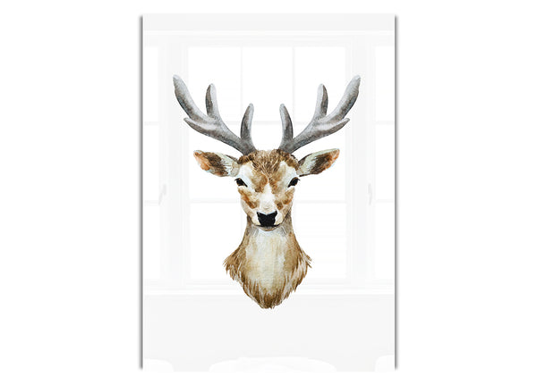 Female Deer Head