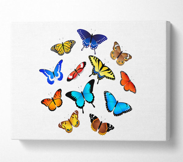 Picture of Colourful Butterflies Canvas Print Wall Art