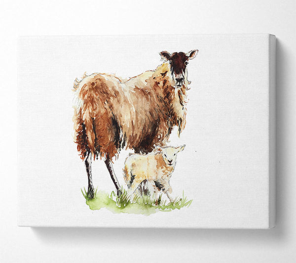 Picture of Mother and Baby Lambs Canvas Print Wall Art