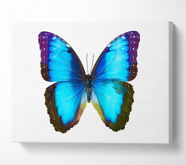 Picture of Electric Butterfly Canvas Print Wall Art