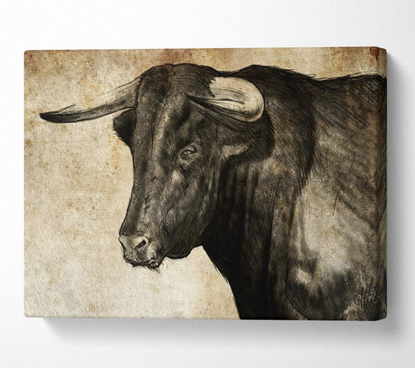 Picture of Bull Horns Canvas Print Wall Art