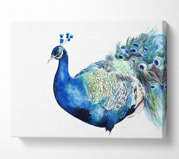 Picture of Peacock Blues Canvas Print Wall Art