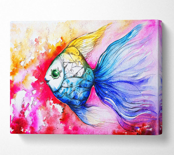 Picture of MultiColoured Fish Canvas Print Wall Art