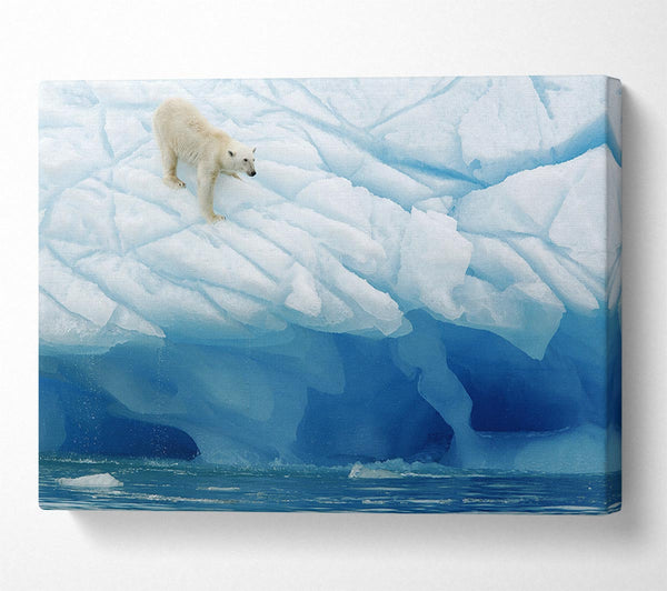Picture of Polar Bear Ice Canvas Print Wall Art