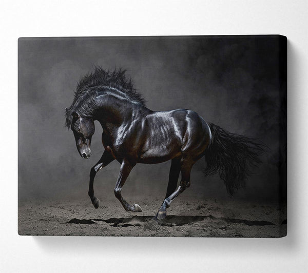 Picture of Black Beauty Horse Canvas Print Wall Art