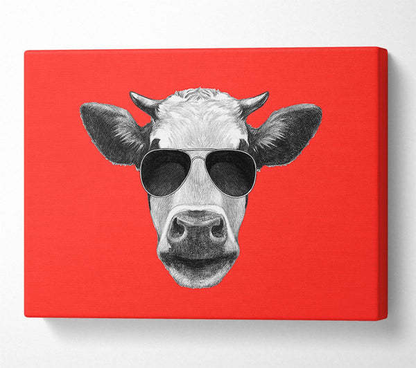 Picture of Mafia Cow Canvas Print Wall Art