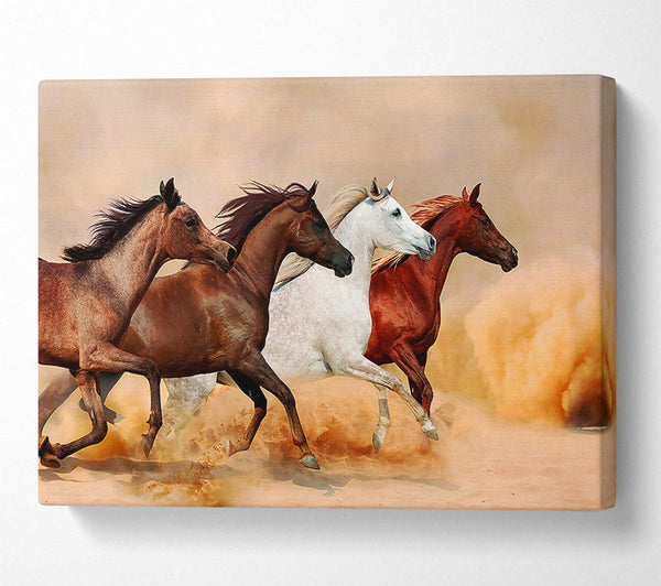 Picture of Horse Stampede Canvas Print Wall Art