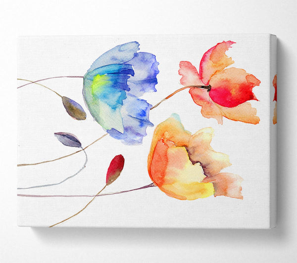 Picture of Poppy Watercolour Canvas Print Wall Art