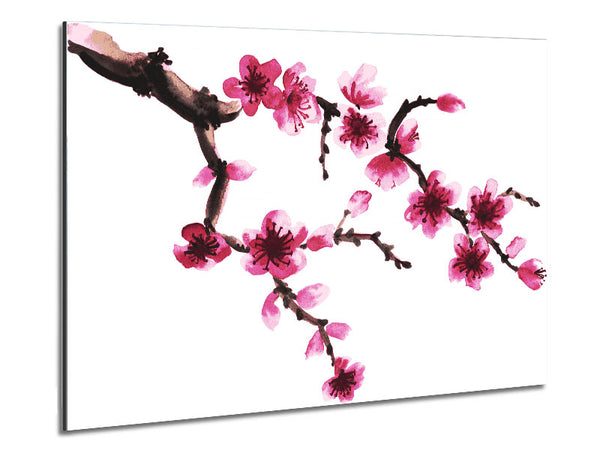 Branch Of A Cherry Blossom