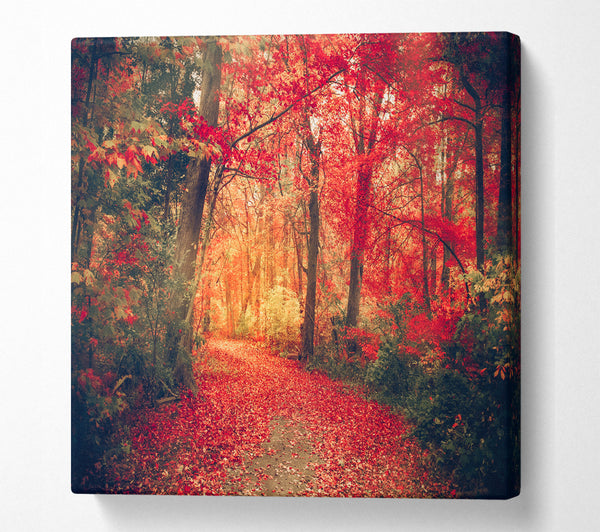 A Square Canvas Print Showing Red Tree Walk Square Wall Art