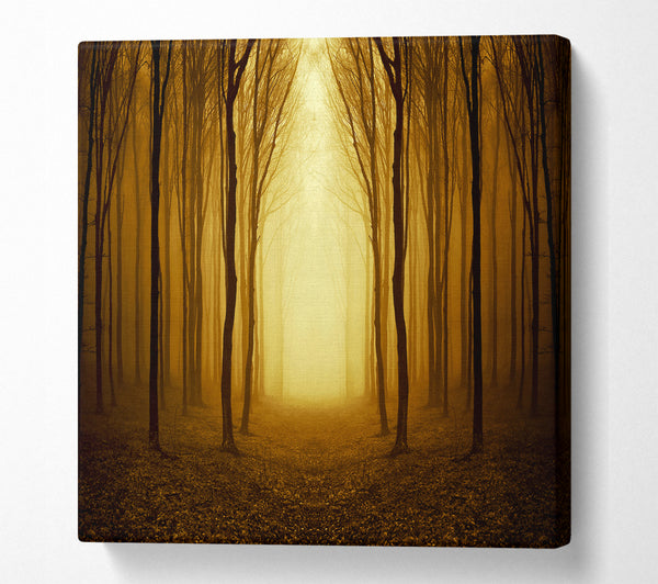 A Square Canvas Print Showing Through The Golden Path Square Wall Art