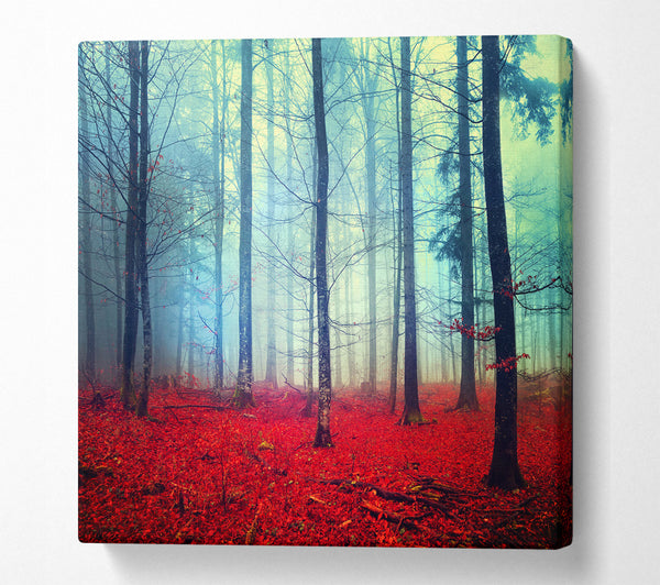 A Square Canvas Print Showing Mist In The Red Forest Square Wall Art