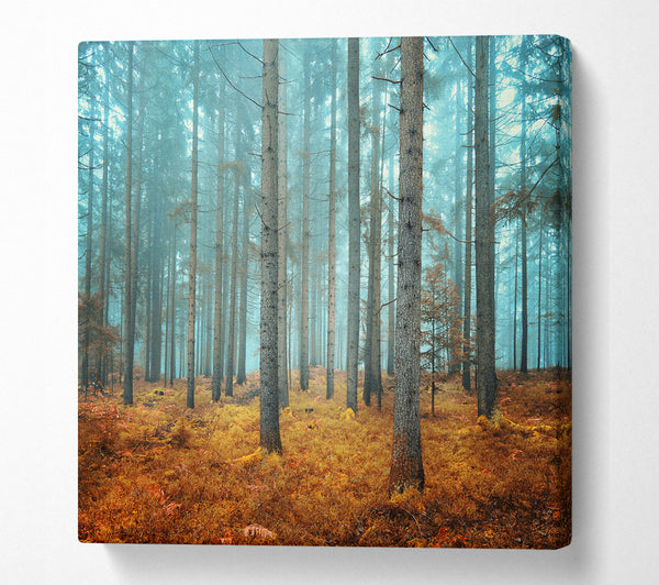 A Square Canvas Print Showing Misty Forest Glow Square Wall Art