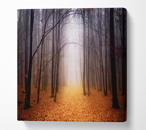 A Square Canvas Print Showing Autumn Mist Square Wall Art