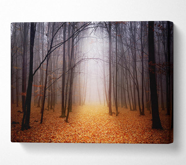 Picture of Autumn Mist Canvas Print Wall Art