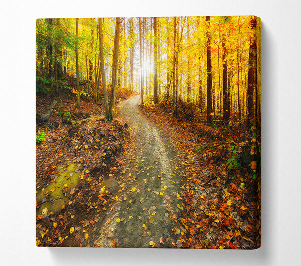 A Square Canvas Print Showing Path To The Sun 1 Square Wall Art