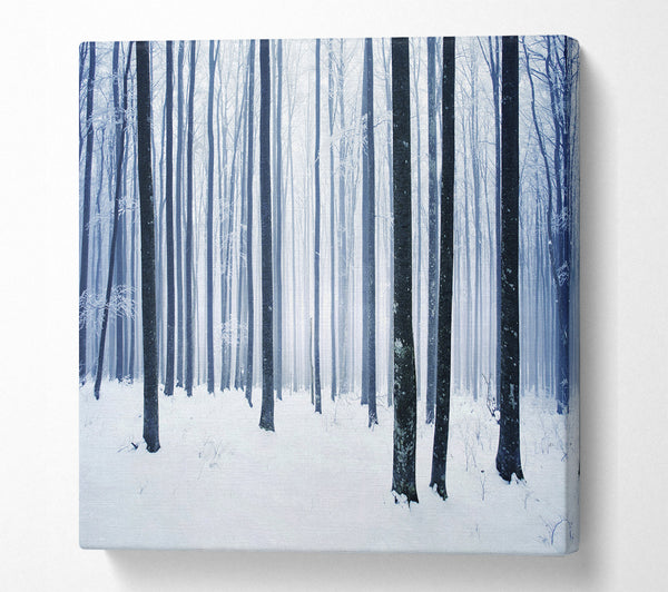 A Square Canvas Print Showing Winter Magic Square Wall Art