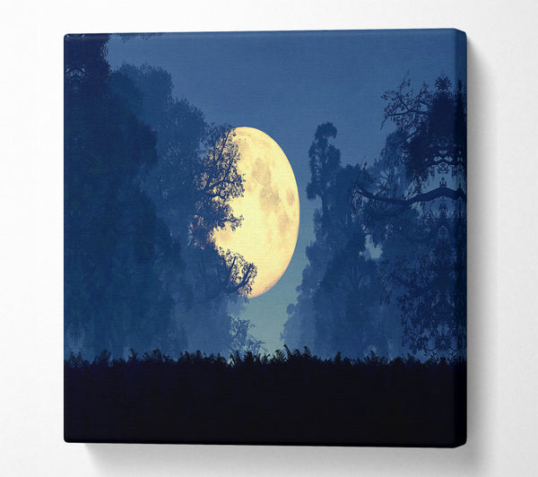 A Square Canvas Print Showing Stunning Midnight Moon Through The Trees Square Wall Art