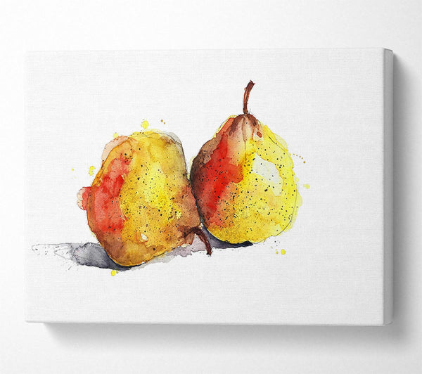 Picture of Pear Duo 2 Canvas Print Wall Art