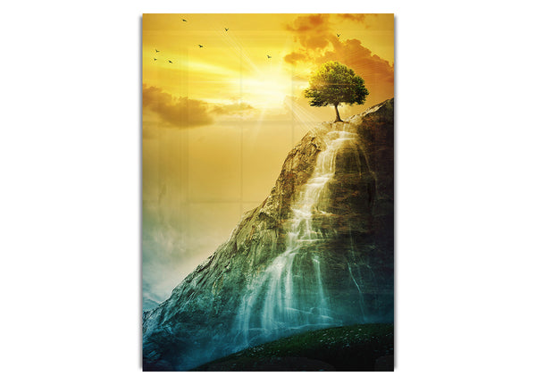 Waterfall Tree