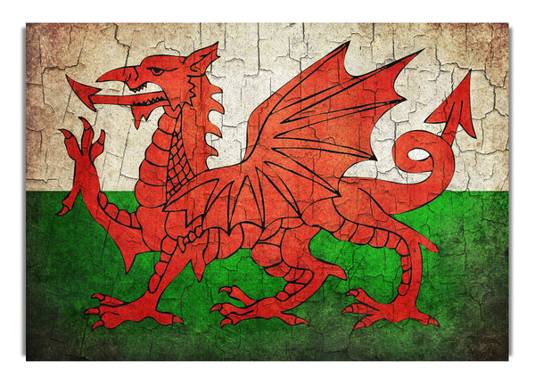 Welsh Dragon 2