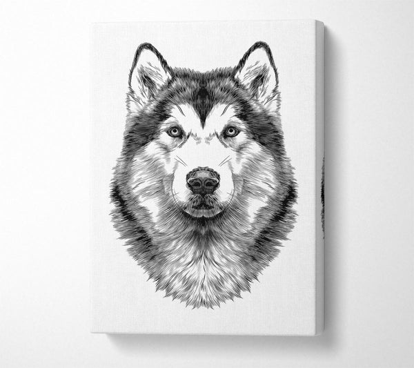 Picture of Husky Wolf Canvas Print Wall Art