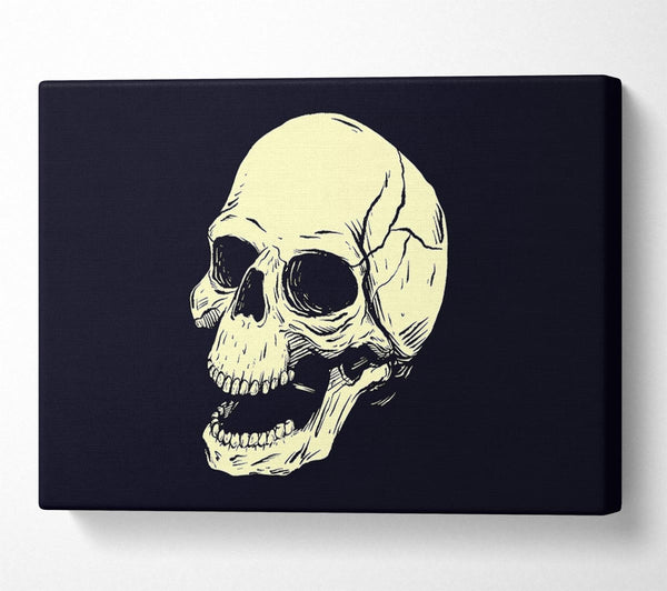 Picture of Laughing Skull Canvas Print Wall Art