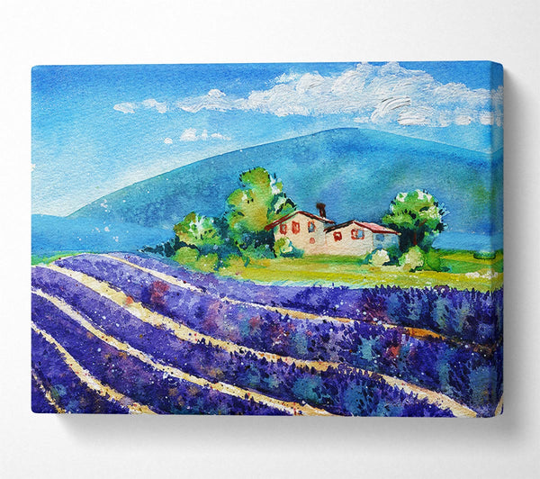 Picture of Lavender Fields In France Canvas Print Wall Art