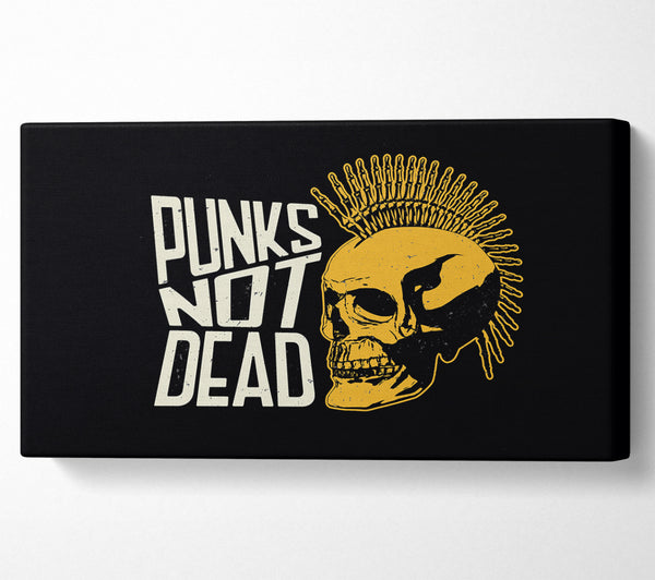 Punks Not Dead 1