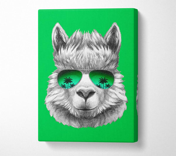 Picture of Llama Cool Canvas Print Wall Art
