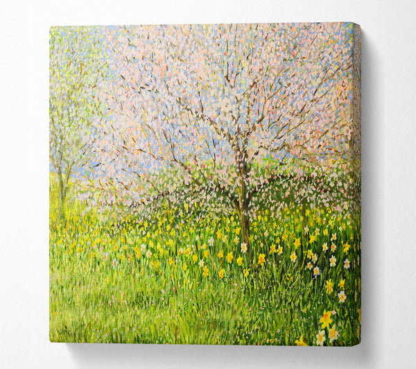 A Square Canvas Print Showing Spring Time Square Wall Art
