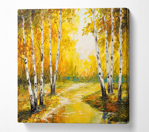 A Square Canvas Print Showing Yellow Silver Birch Walk Square Wall Art