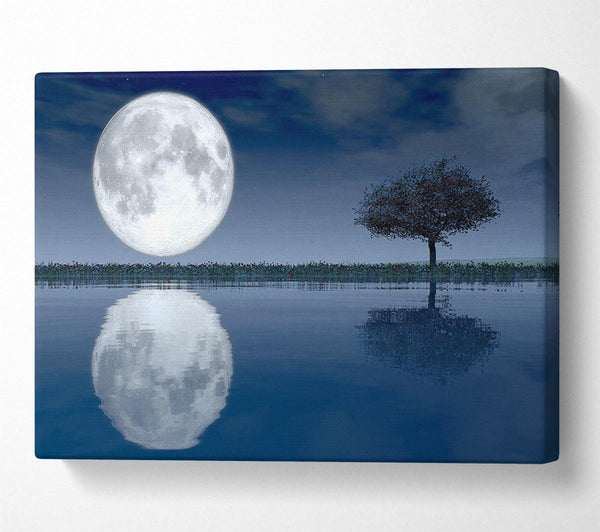Picture of Moon Reflection Canvas Print Wall Art