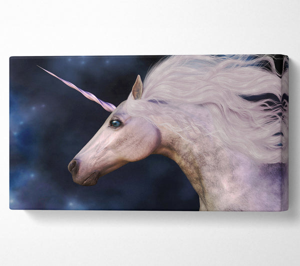 Stunning Universal Unicorn
