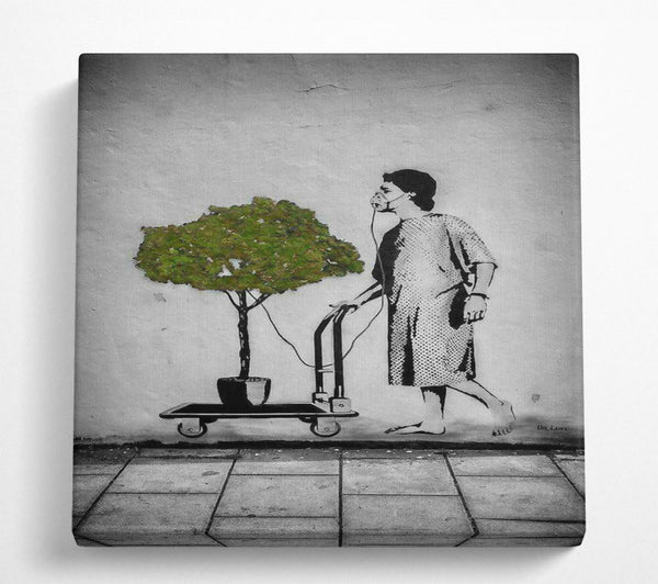A Square Canvas Print Showing Oxygen tree Square Wall Art