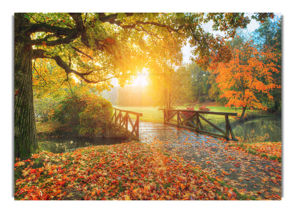 Woodland Bridge Autumn tranqulity